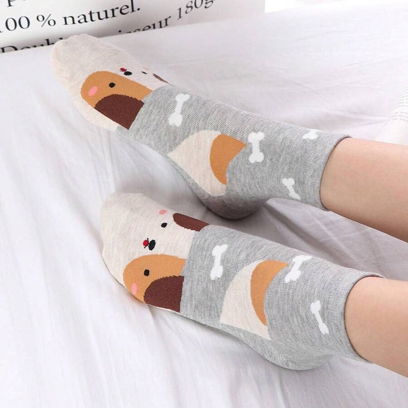 Colorful Dog Socks with Cartoon Designs