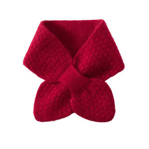 Stylish Warm Scarf in Color