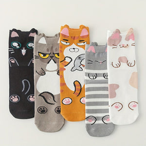 Set of 5 pairs of colorful, cartoon socks for all occasions